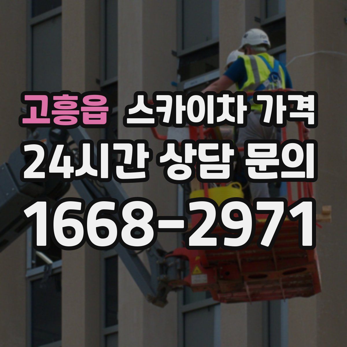 고흥읍 스카이차 가격