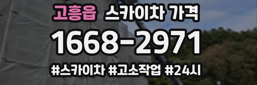 고흥읍 스카이차 가격