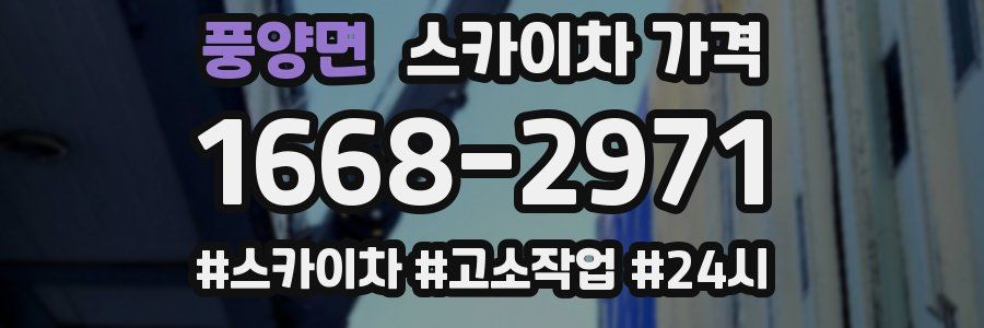 풍양면 스카이차 가격