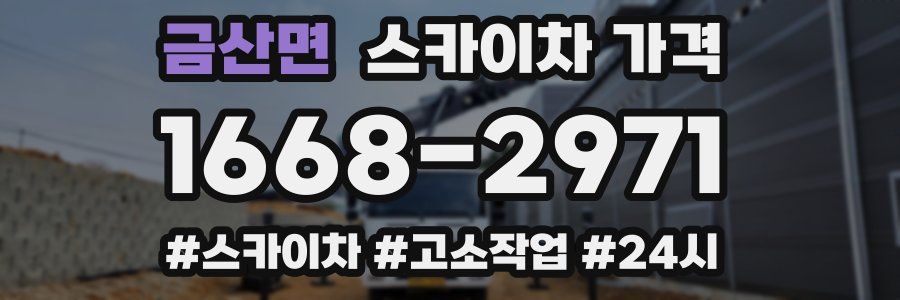 금산면 스카이차 가격