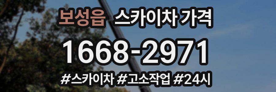 보성읍 스카이차 가격