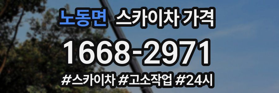 노동면 스카이차 가격