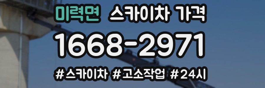 미력면 스카이차 가격