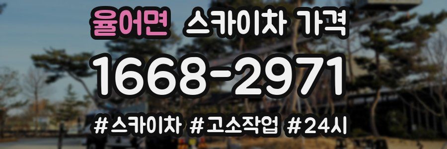 율어면 스카이차 가격