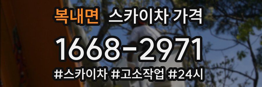 복내면 스카이차 가격