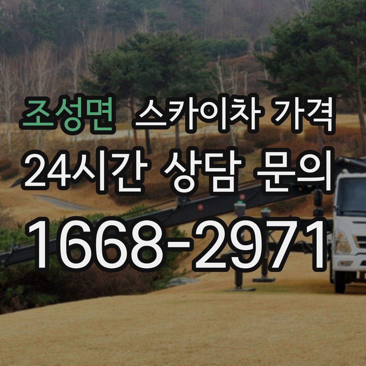 조성면 스카이차 가격