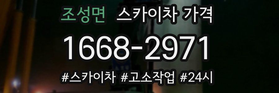 조성면 스카이차 가격