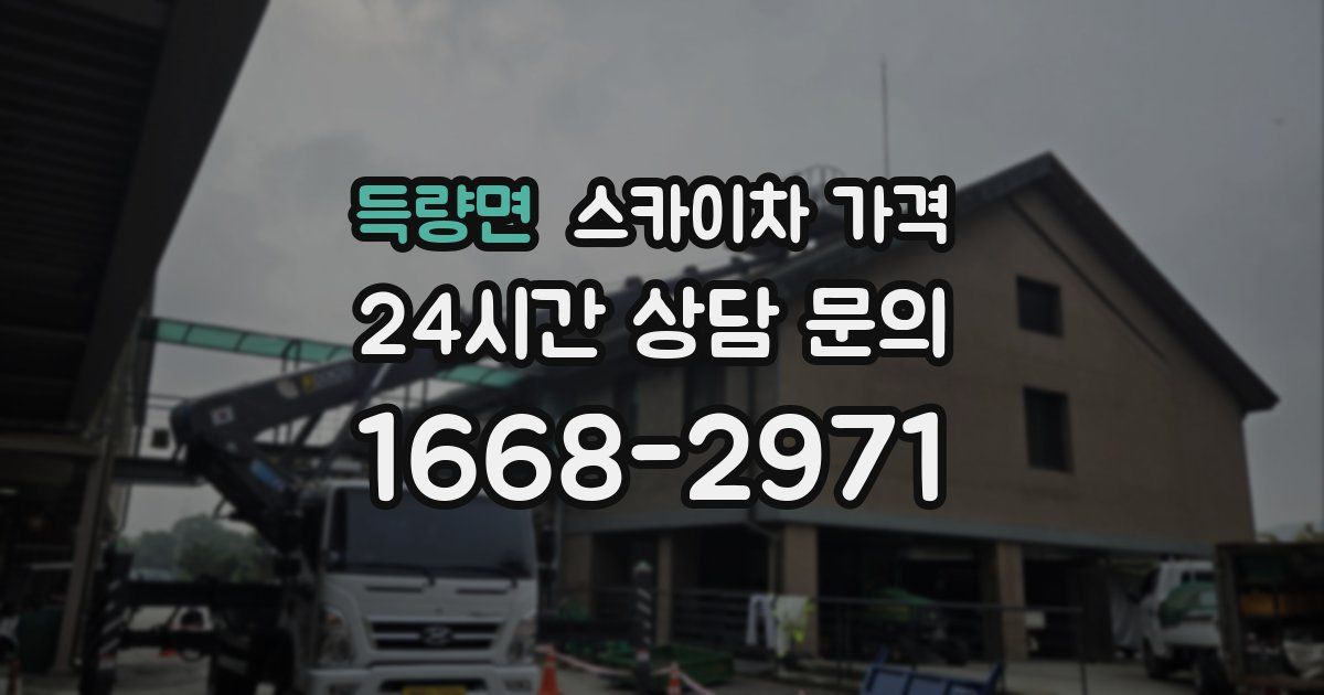 득량면 스카이차 가격