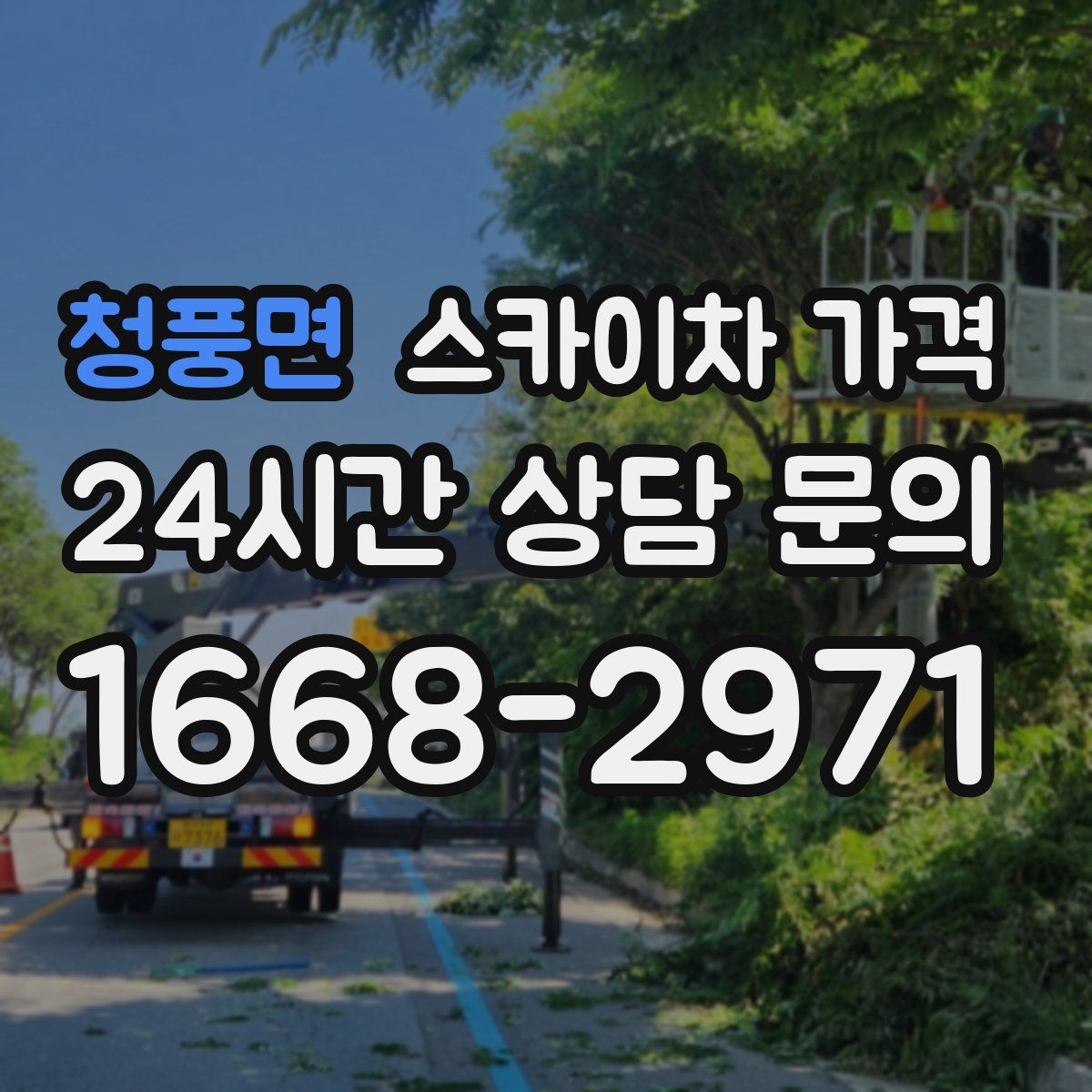 청풍면 스카이차 가격