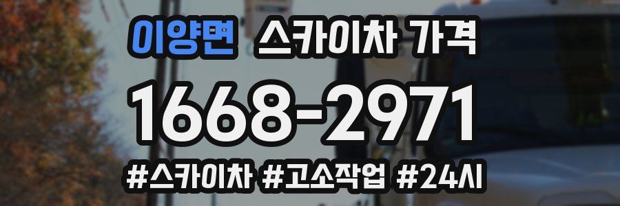 이양면 스카이차 가격