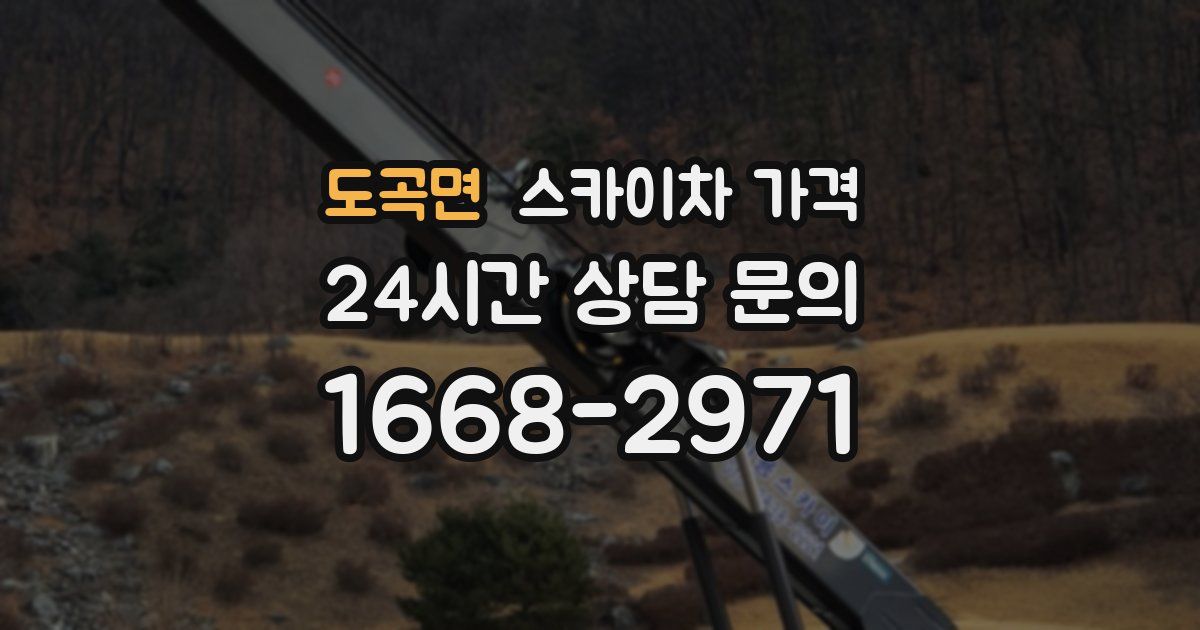 도곡면 스카이차 가격