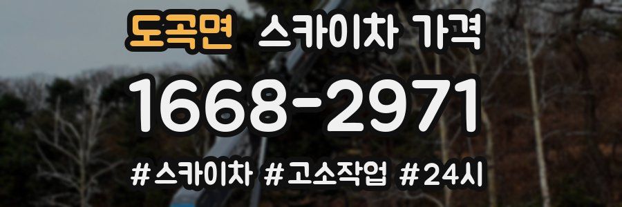 도곡면 스카이차 가격