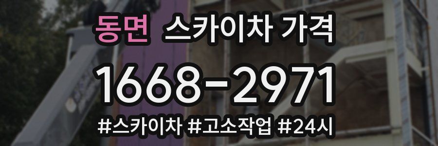 동면 스카이차 가격