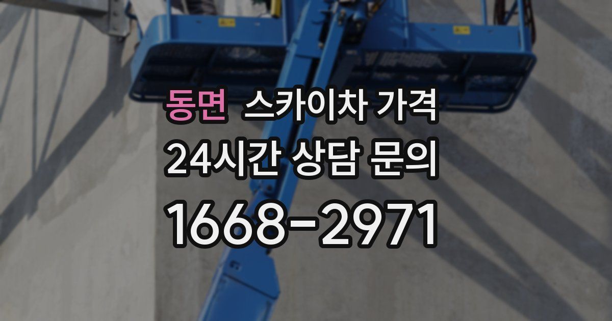 동면 스카이차 가격