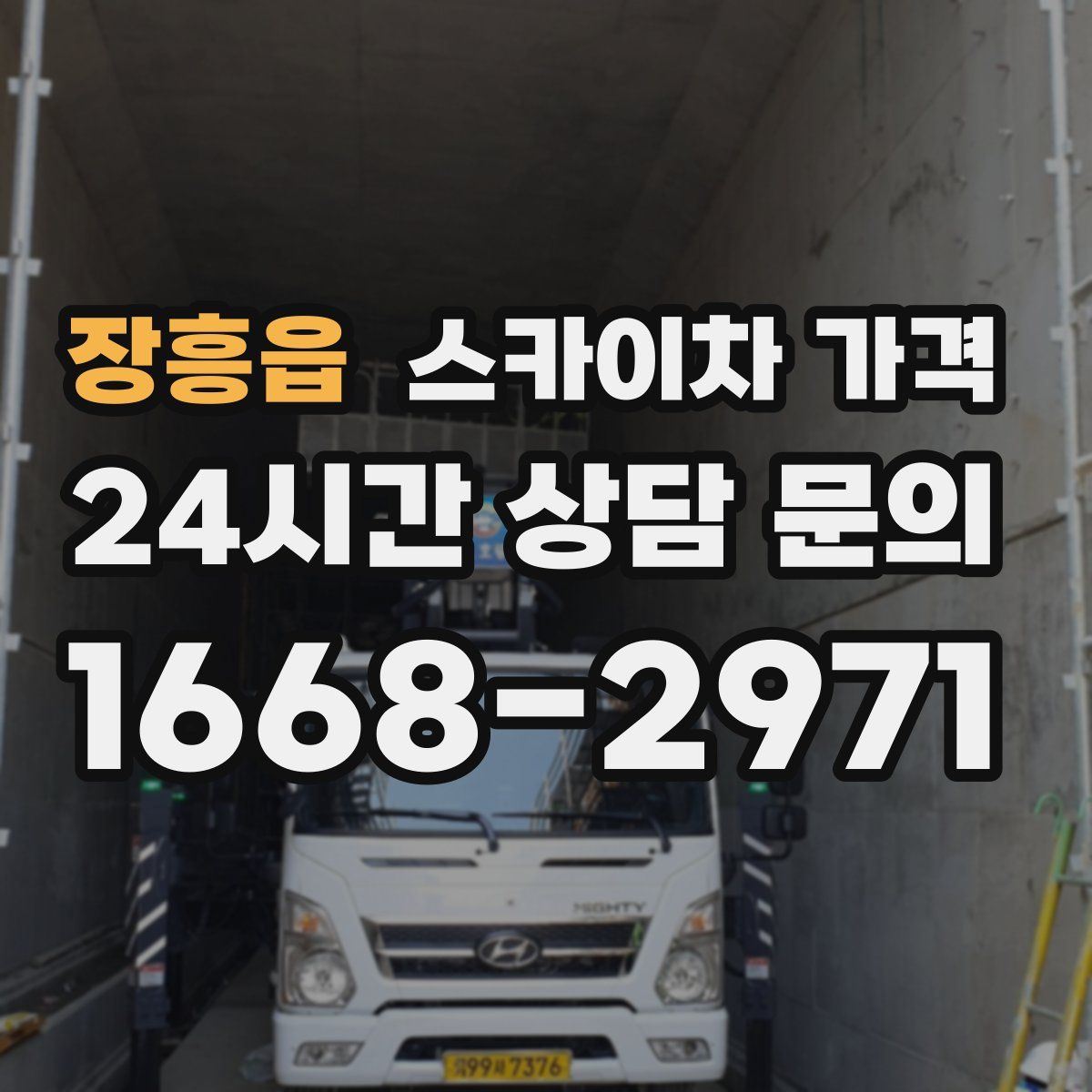 장흥읍 스카이차 가격