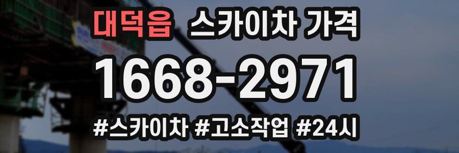 대덕읍 스카이차 가격