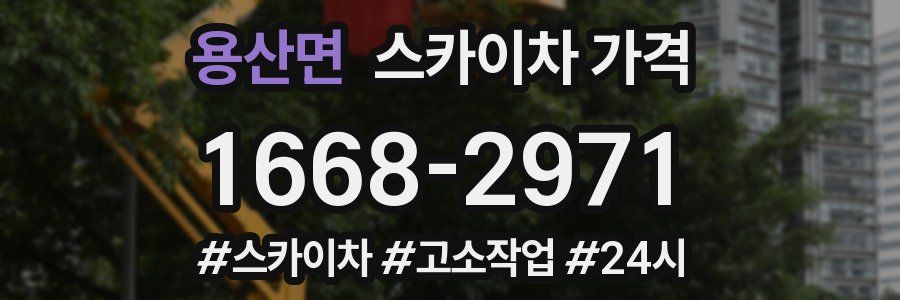 용산면 스카이차 가격