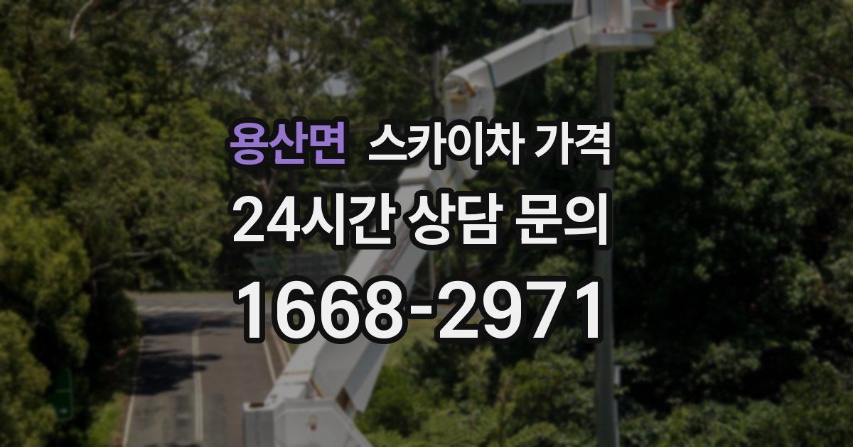 용산면 스카이차 가격