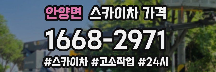 안양면 스카이차 가격