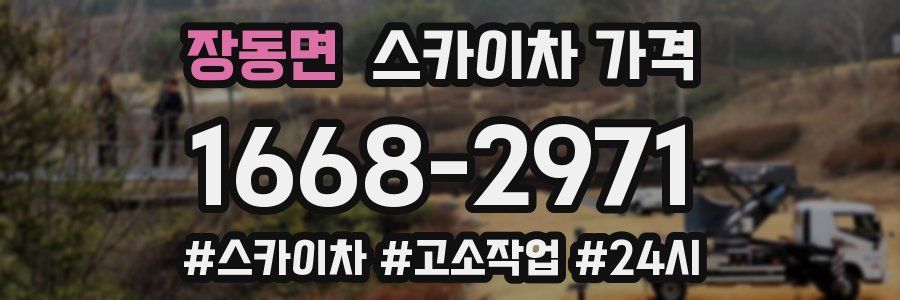 장동면 스카이차 가격