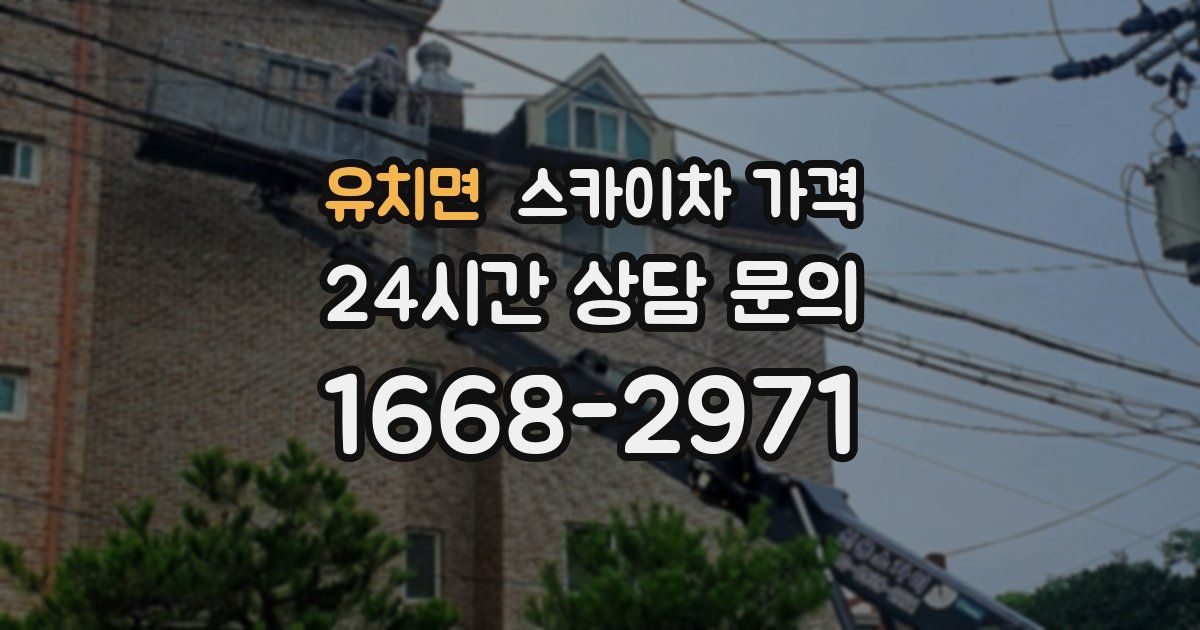 유치면 스카이차 가격