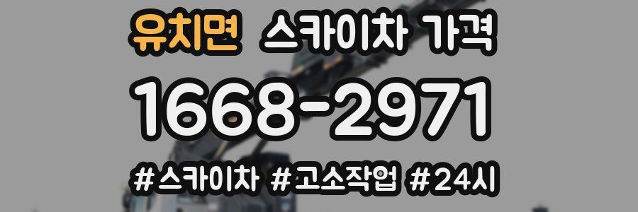 유치면 스카이차 가격