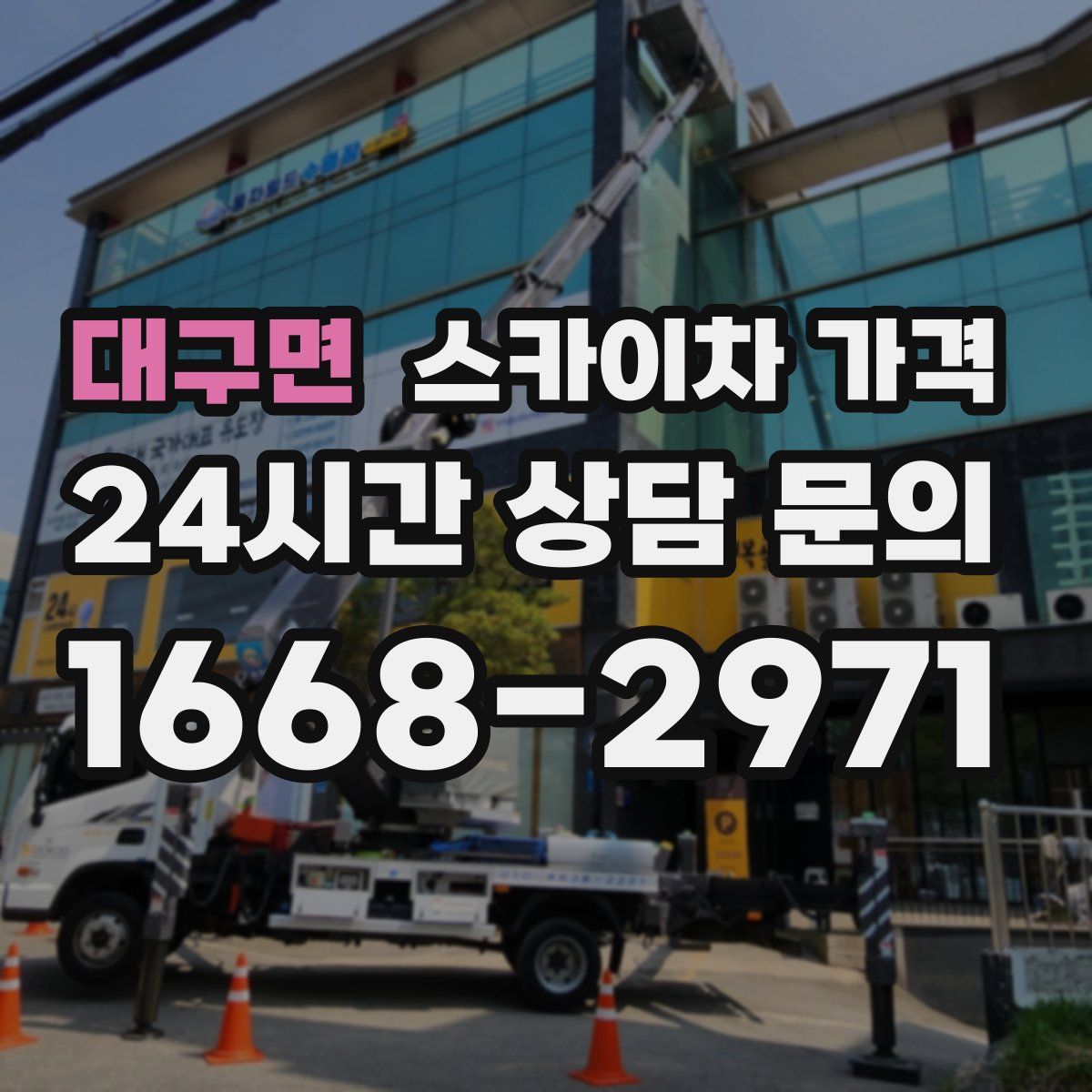 대구면 스카이차 가격