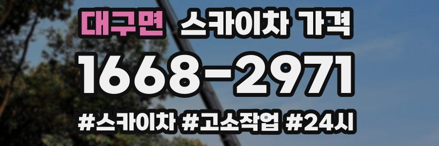 대구면 스카이차 가격