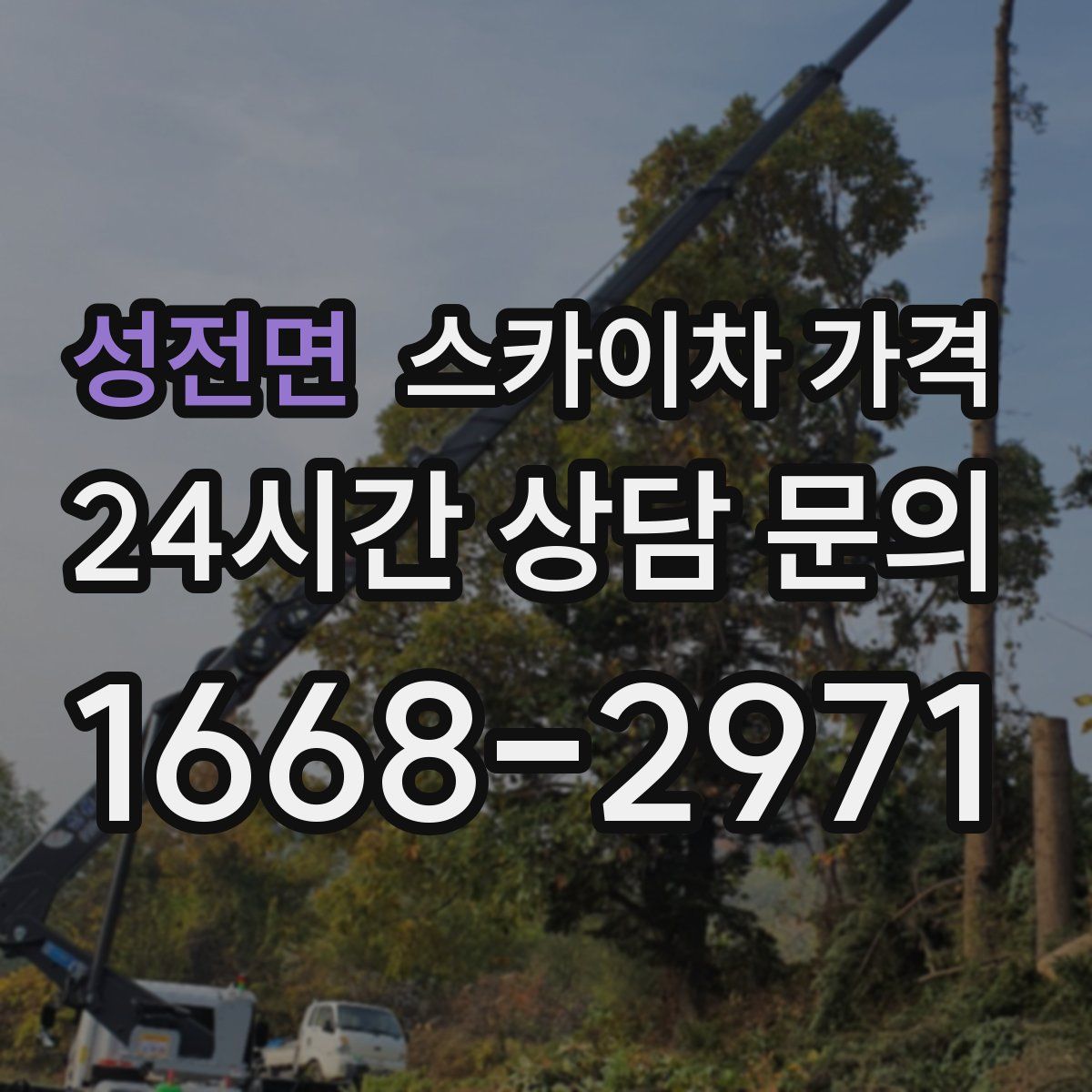 성전면 스카이차 가격