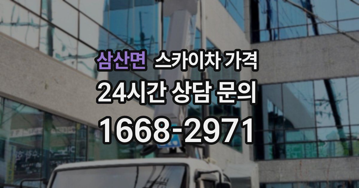 삼산면 스카이차 가격