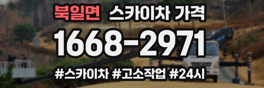 북일면 스카이차 가격