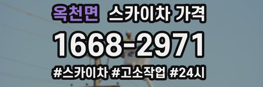 옥천면 스카이차 가격