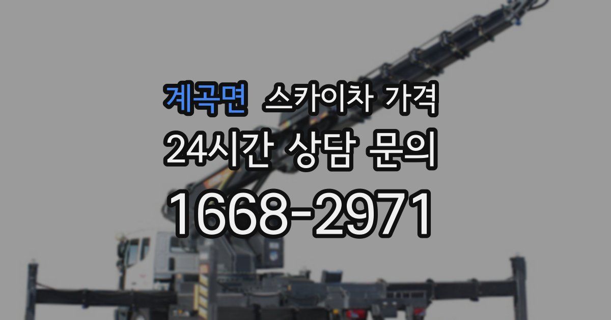 계곡면 스카이차 가격