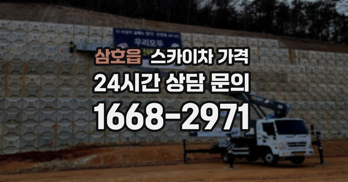 삼호읍 스카이차 가격