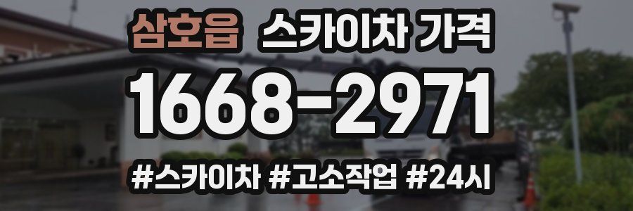 삼호읍 스카이차 가격