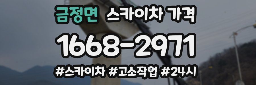 금정면 스카이차 가격