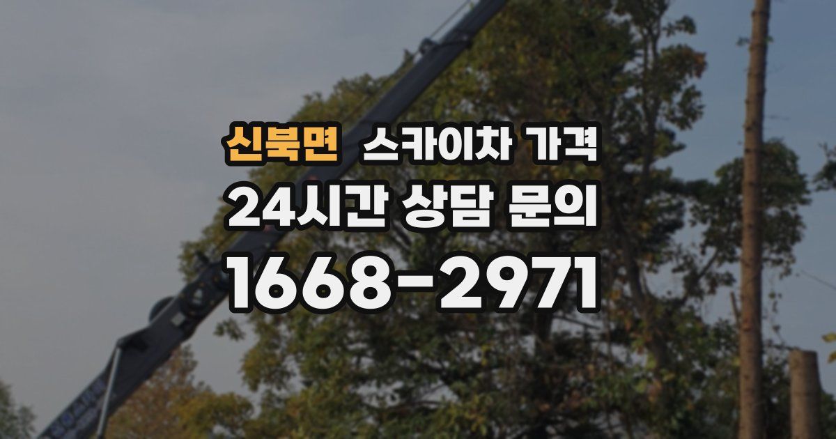 신북면 스카이차 가격