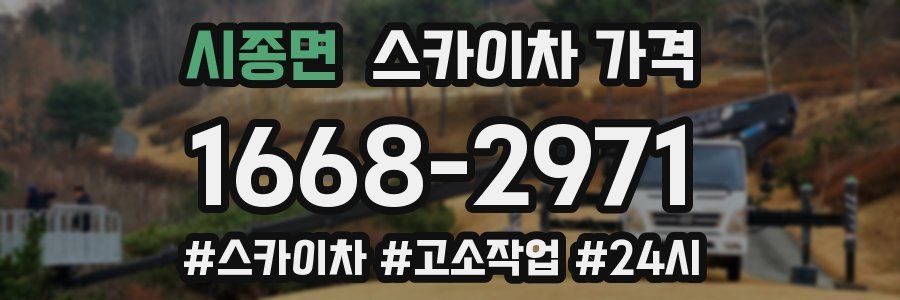 시종면 스카이차 가격