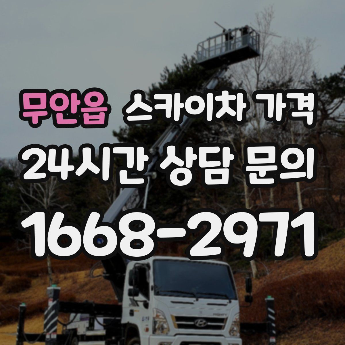 무안읍 스카이차 가격