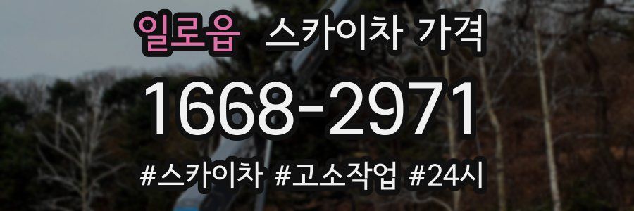 일로읍 스카이차 가격