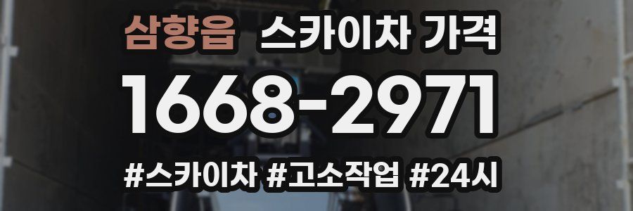 삼향읍 스카이차 가격