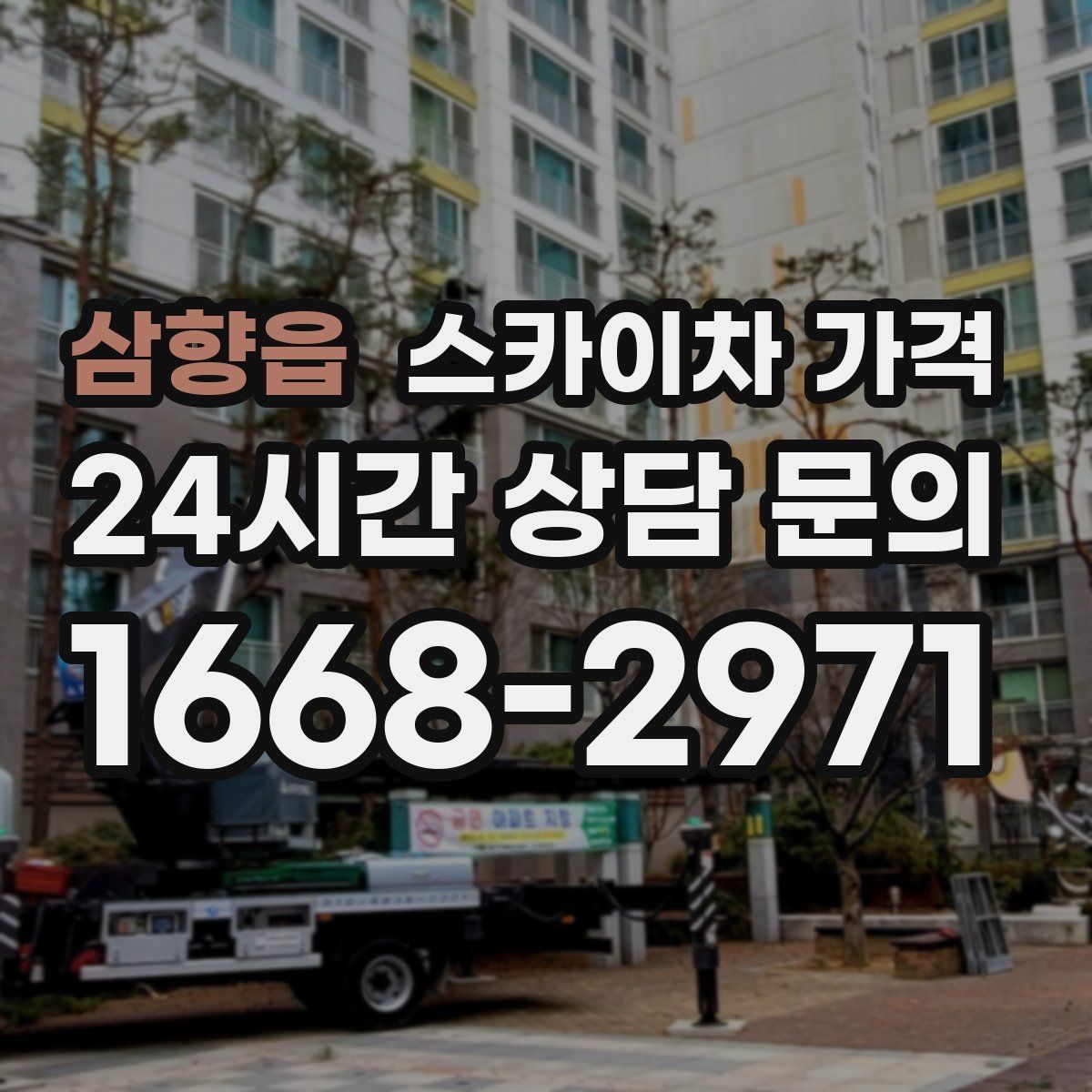 삼향읍 스카이차 가격