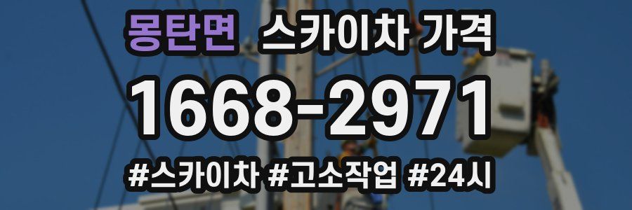 몽탄면 스카이차 가격