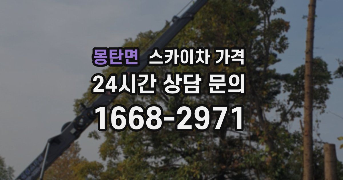 몽탄면 스카이차 가격