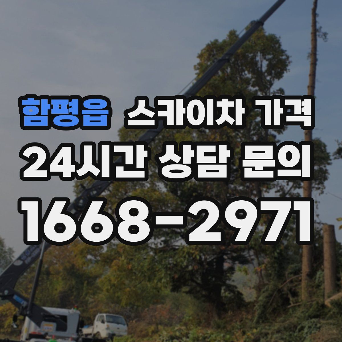 함평읍 스카이차 가격