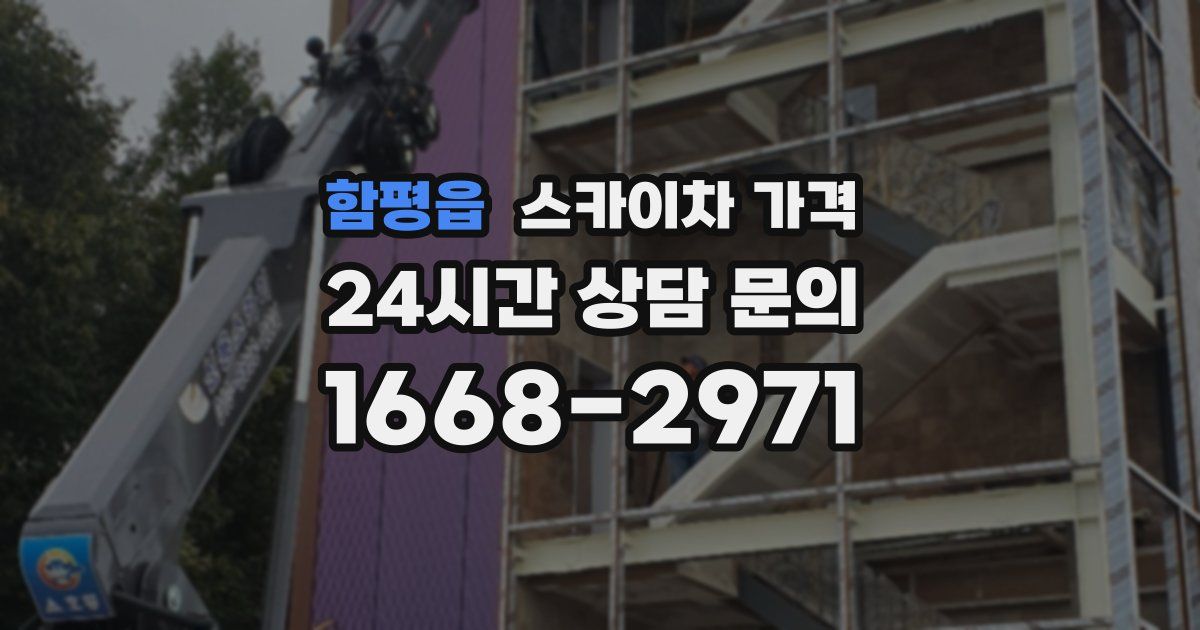 함평읍 스카이차 가격