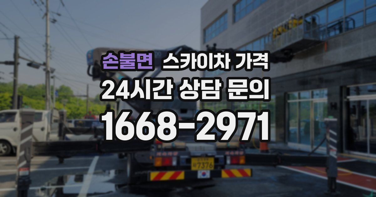 손불면 스카이차 가격