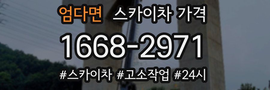 엄다면 스카이차 가격