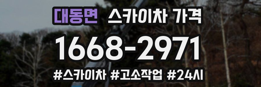 대동면 스카이차 가격