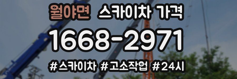 월야면 스카이차 가격